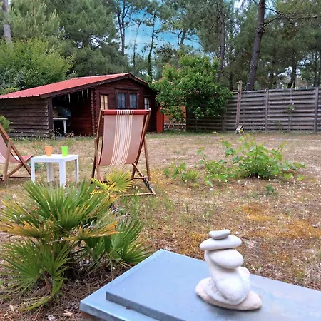 4 Proche Et Foret Pour 8 Personnes - Fr-1-476-241 *